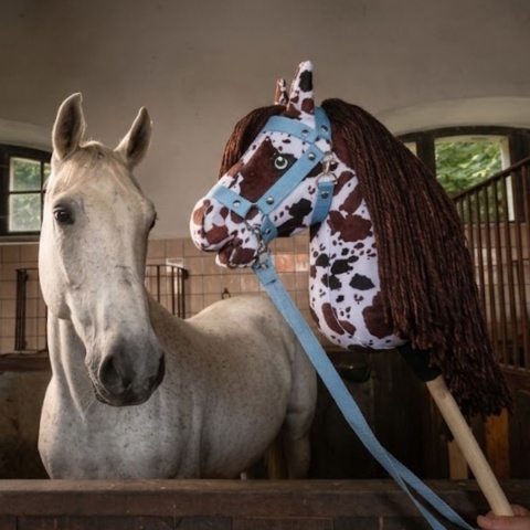 Hobby Horse A3 "Pinto Castano" + kantar + wodze