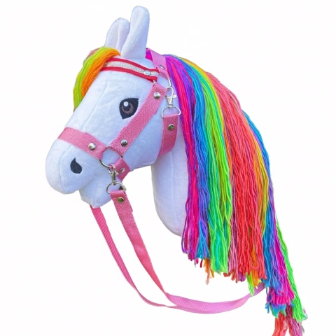 Hobby Horse Rainbow