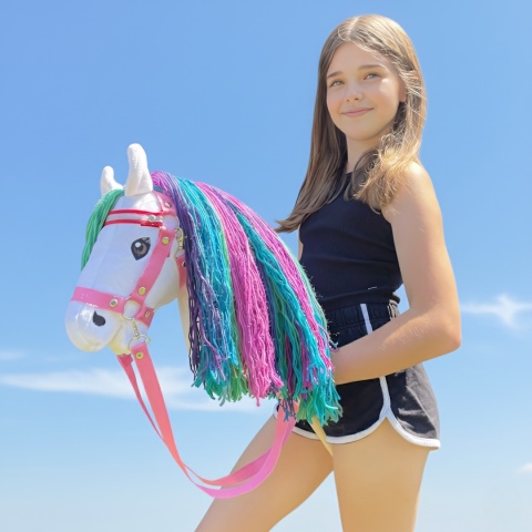 Hobby Horse Rainbow