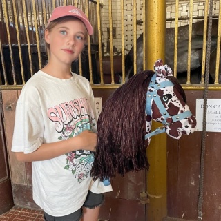 Hobby Horse A3 tarantowaty "Pinto Castano" + kantar + wodze