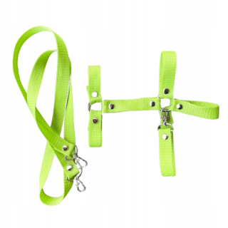 Kantar + wodze dla Hobby Horse A3 (zielony)