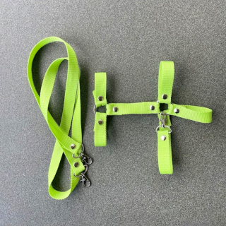 Kantar + wodze dla Hobby Horse A3 (zielony)