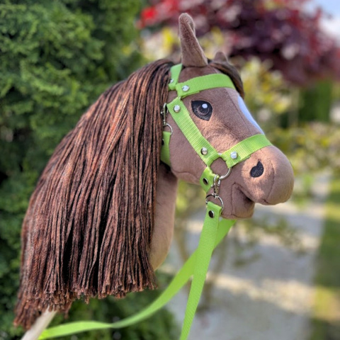 Zestaw dla Hobby Horse A3 (v02): derka, plecak, kantar, wodze Zestaw dla Hobby Horse A3 (v02): derka, plecak, kantar, wodze
