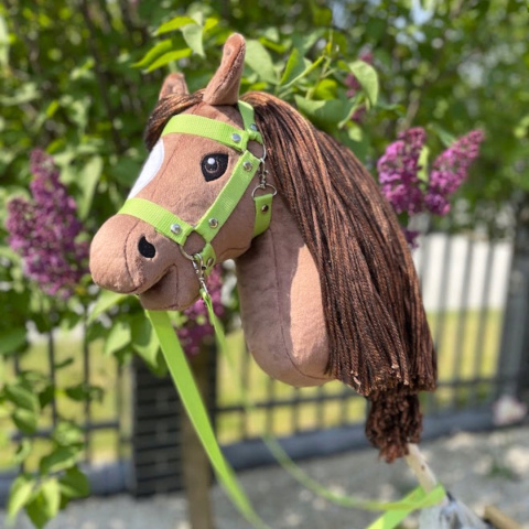 Zestaw dla Hobby Horse A3 (v02): derka, plecak, kantar, wodze Zestaw dla Hobby Horse A3 (v02): derka, plecak, kantar, wodze