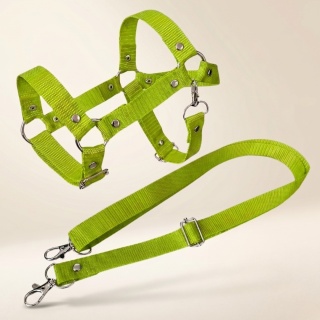 Kantar + wodze dla Hobby Horse A3. Regulowany. Kolor zielony