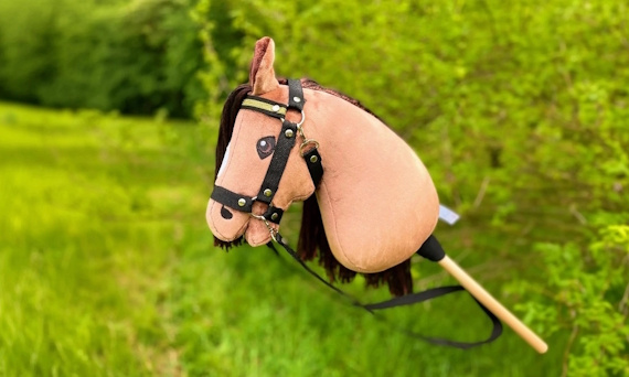 Co to jest Hobby Horse?