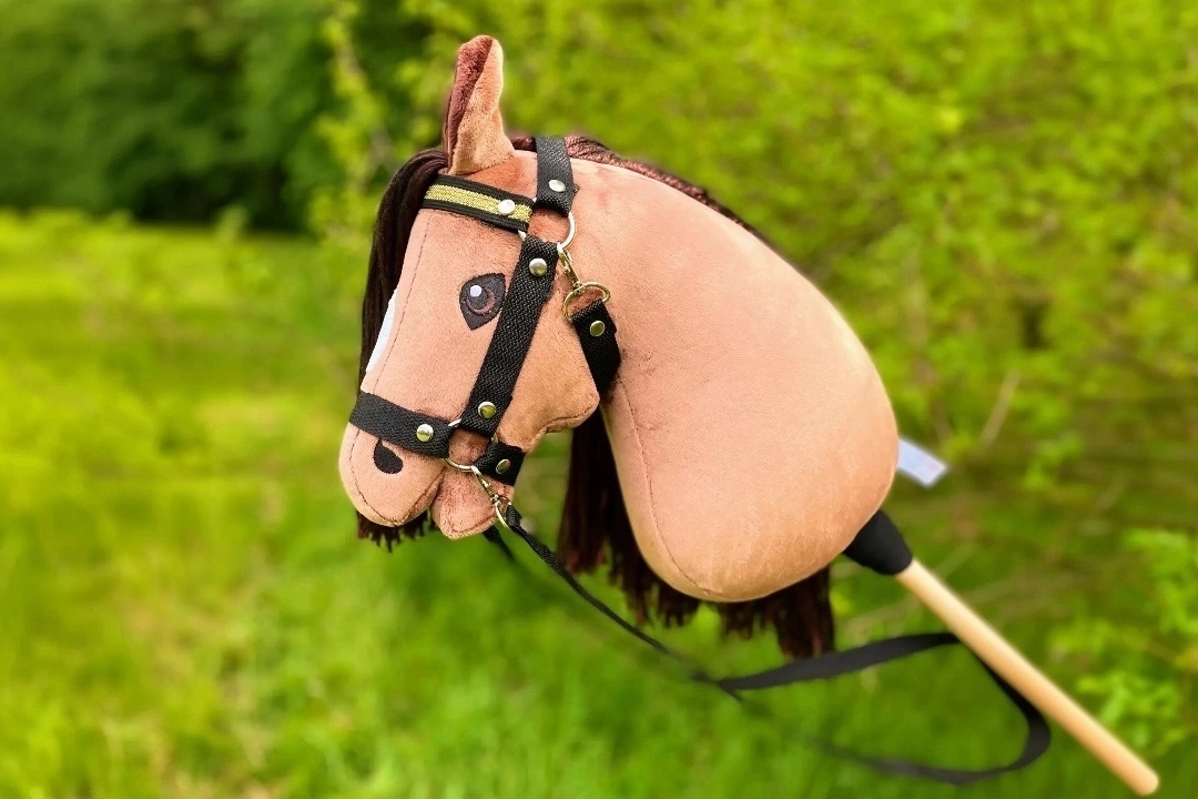 co to jest hobby horse