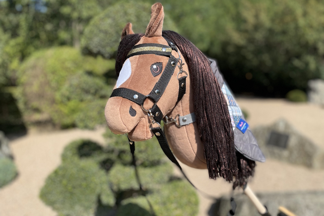 jak wygląda hobby horse